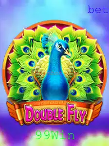 Explorando o Universo de DoubleFly e 99Win: Uma Jornada Através das Regras e Estratégias